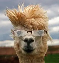 第849页zol趣图频道  第849页zol趣图频道