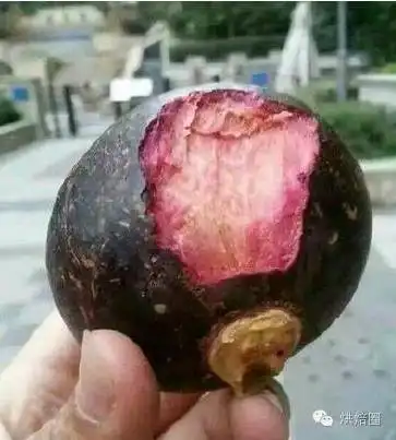  人生中第一次吃水果!城里人的东西真搞不懂...