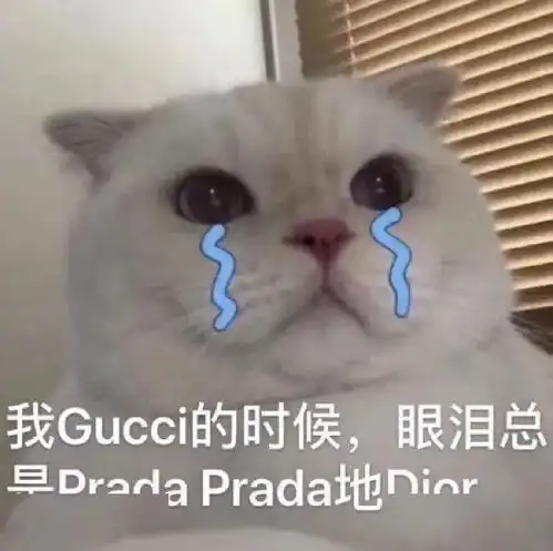 摊手表情包无字伤心