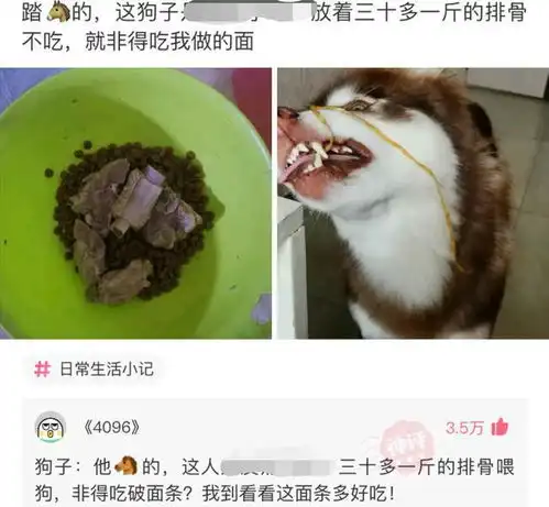  搞笑图片我才20岁就有了属于自己的房子,真是未来可期