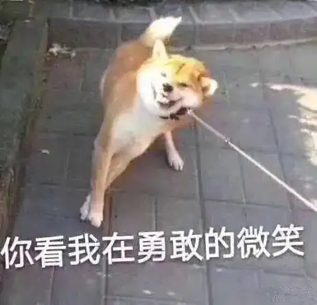  别不识抬举打包了225个设计网址劝你收下
