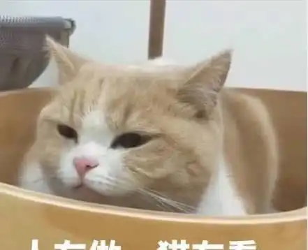  超火的搞笑表情包作为一个靓仔,早已习惯孤独