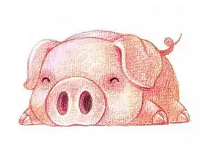  爸爸生肖鼠妈妈生肖羊2019年适合怀孕吗