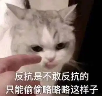  搞它一笑我只是暗恋了5个人而已
