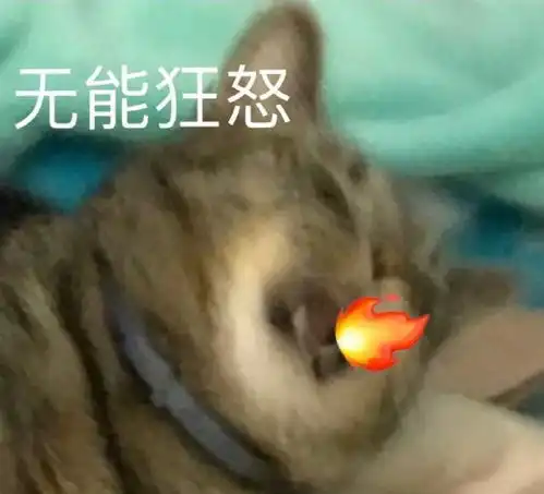  表情包我真的顶不住了