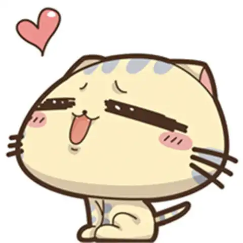 cc猫