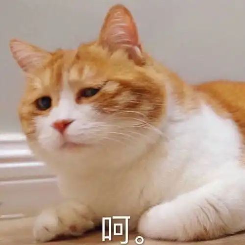 搞笑的笼包奶奶  搞笑的笼包奶奶