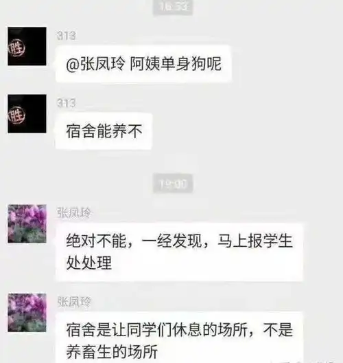  419网络爆笑段子