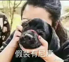  网友晒最近看到最搞笑的截图,每一个都笑出鸡叫声