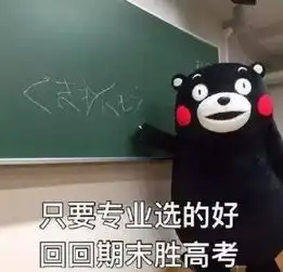  有几句话不知当讲不当讲选这些专业要慎重......