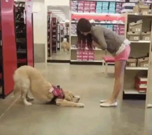 媳妇发了张吃饭的照片给我,看完之后立马离婚都怪这勺子哈哈哈  媳妇发了张吃饭的照片给我,看完之后立马离婚都怪这勺子哈哈哈