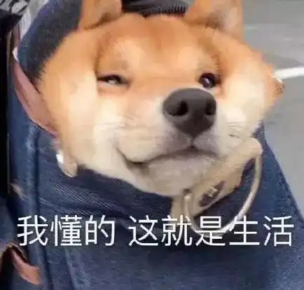 bnuer宅家求生日志丨妈你的小宝贝上线了