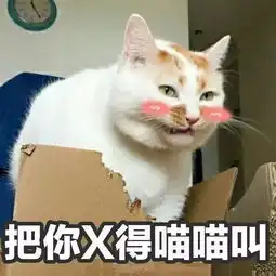 呸表情包图片楼板