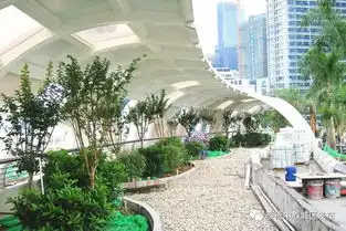  扩散顺德新地标大良金凤凰即将展翅啦