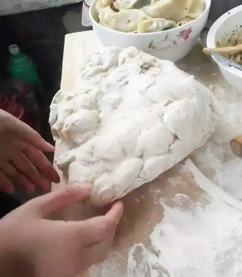  搞笑图片出差前女友包的速冻饺子,煮出来变成片汤了