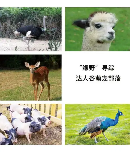  发现世界的家打卡宁波达人谷两天一夜嗨爆you