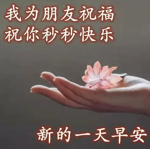 早上好动态图片,为你送上最美的问候,愿你也能传递给身边的人