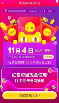  天猫双十一入侵实体商业制造两大现象级案例