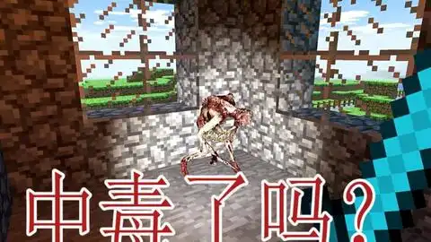 我的世界烦村暗影匕首