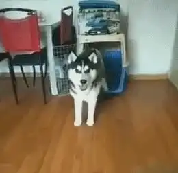 该吃药的图片搞笑搞笑图