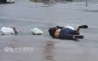 鲶鱼图片搞笑台风