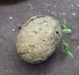 哈哈哈哈哈哈哈你绝对笑朋友圈爆笑的春节图片集合  哈哈哈哈哈哈哈你绝对笑朋友圈爆笑的春节图片集合