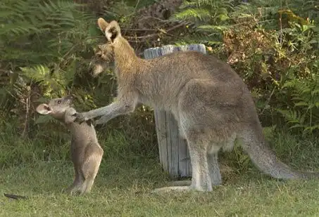 每天都在放空中的相册不萌不在内持续更新  每天都在放空中的相册不萌不在内持续更新