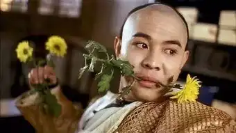 青春版方世玉,搞笑版苗翠花,以德服人版雷老虎  青春版方世玉,搞笑版苗翠花,以德服人版雷老虎