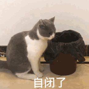 哈哈喵开黑的表情包美术生