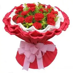  教师节康乃馨价格,价格查询,教师节康乃馨怎么样150180元的商品51比购返利网教师节康乃馨比价