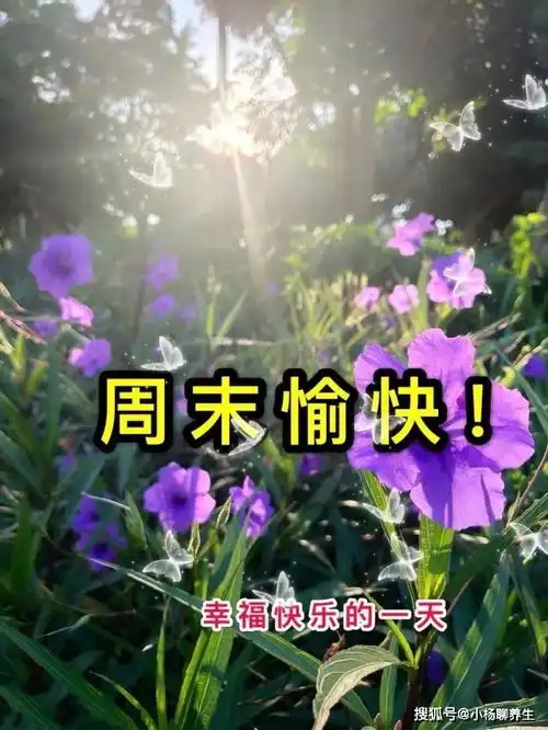  周末清晨问候早上好图片,特暖心的祝福语,愿你轻松又愉快