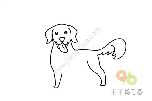  暖心的金毛狗狗简笔画步骤图