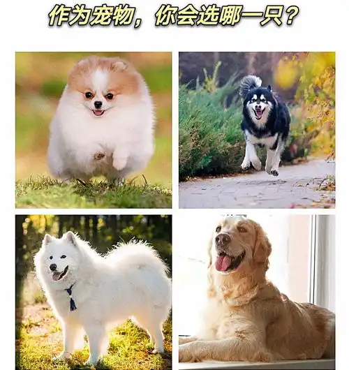  搞笑趣图别人洗苹果的方式vs我洗苹果的方式