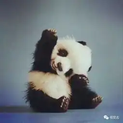  你笑起来真好看