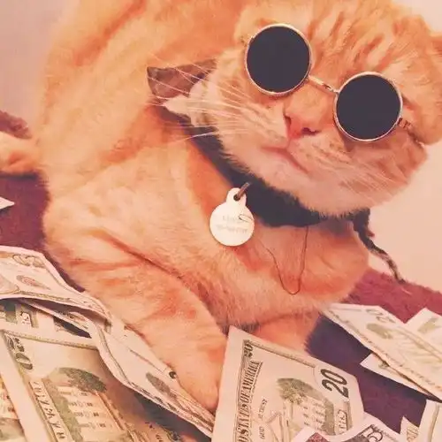 明知道自己渴望却得对它装聋作哑  明知道自己渴望却得对它装聋作哑