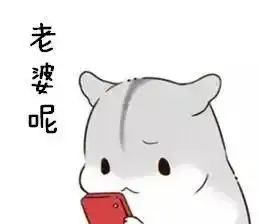  真仓鼠撩妹表情包整套萌图全是套路