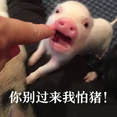  豆瓣广播和微博有什么区别