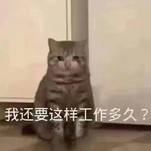  猫快给我学狗叫丨第95期喵表情