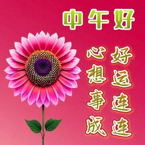  中午好图片,中午好最新精美图片,午安问候图片