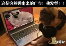  广告和现实的差异哈哈哈