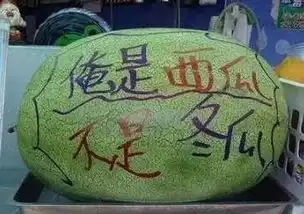 西北风图片搞笑段子