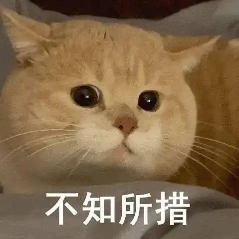  e句话看天下豪门小千金的真实生活原来是这样的