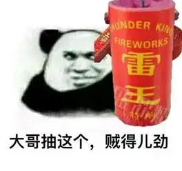  南非有春运吗如果有,南非政府和交通是怎样解决的