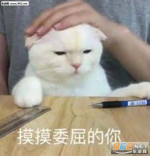  撩妹什么的我最擅长了表情包图片和我谈恋爱超省钱表情包下载乐游网游戏下载