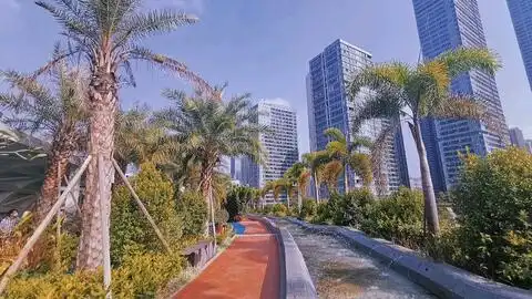  顺德金凤凰美爆了的夜景