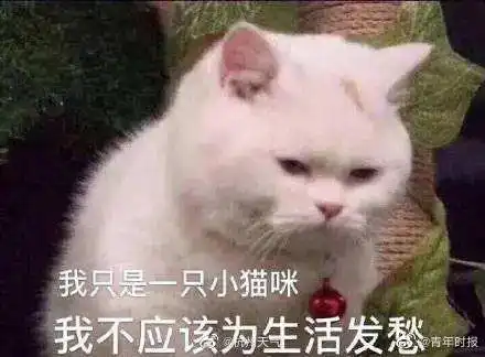  昨天雨,今天雨,明后天还是雨杭州暂时还出不了梅