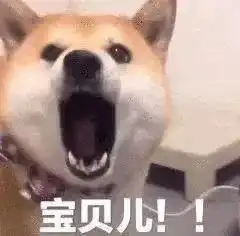  幽默搞笑表情包睡觉,一起
