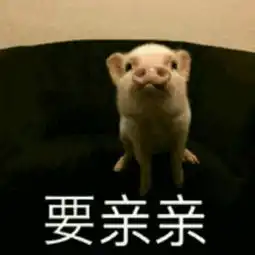  在线收听一纸情书o的播客荔枝fm