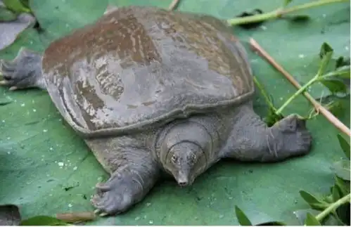 问道那些你不知道的事雕像篇下  问道那些你不知道的事雕像篇下