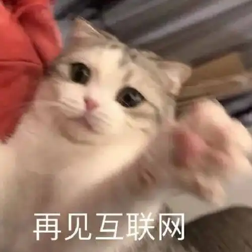  5.13表情包丨可以带我timi吗